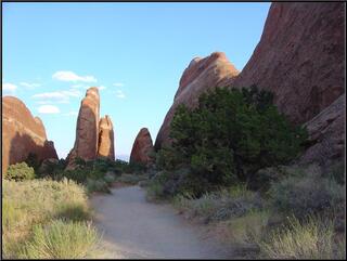 Rock fins on the Devil's Garden trail
