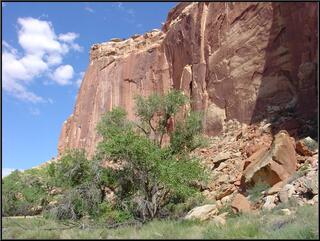 High cliff in Capital Reef National Park...
