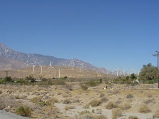 At the nexus of Highway 62 and I-90, a windmill forest of monumental porportions