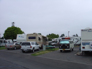 Morning, mingling with the big rigs