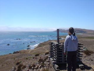 Theresa ponders coastline
