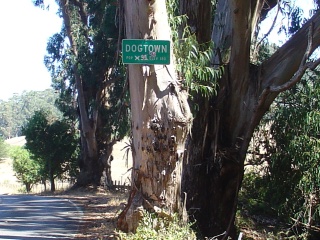 We appreciate Dogtown's attention to detail
