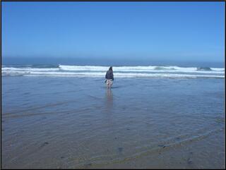 Brian stares down the Pacific