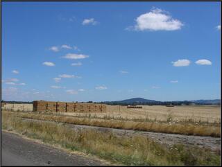 Hey, hay bales again!