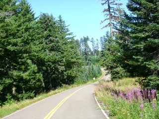 The beautiful mountaintop road to Mary's Peak