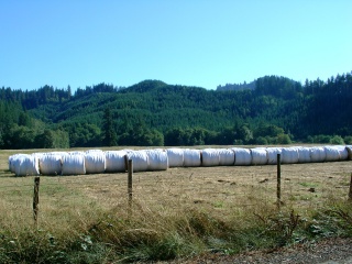 The most seriously packaged hay bales of the trip