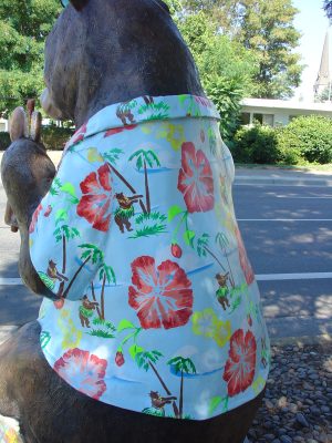 The Grants Pass bear parade, a bear in Brian's eastern attire