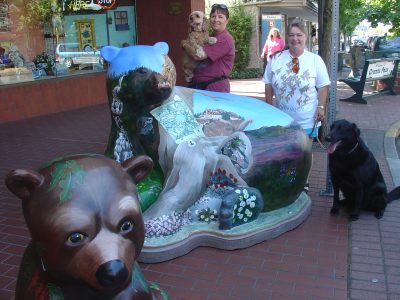 Crater Lake Bear
