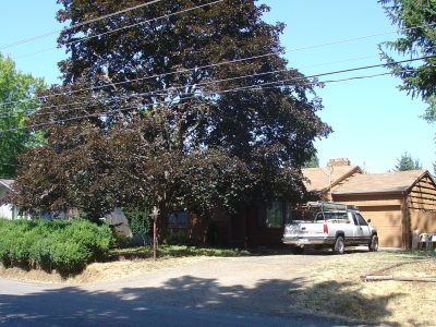 Theresa's childhood home in Salem