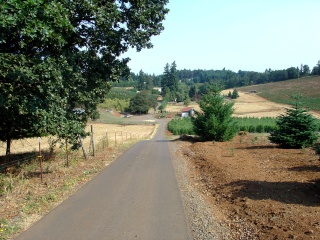 Heading down to the valley