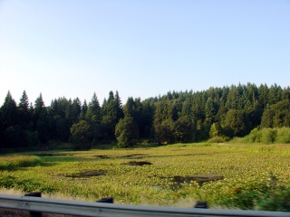 Road side shot in southern Washington