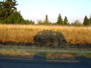 The bus casts a tall shadow