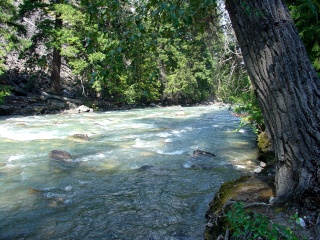 Stopped for a nap, in an unbelievable free B.C. maintained campground