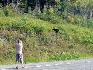A ridiculous tourist with a camcorder, offering himself up for lunch
