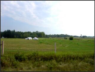 Perhaps not well packaged hay bales, but actually silage. Or so we hear.