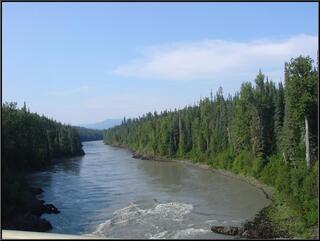 The scenic Moss River