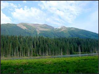 Scenic roadside shot
