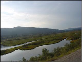 Roadside shot south of Dease Lake