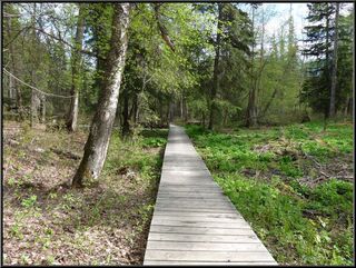 Boardwalk between pools