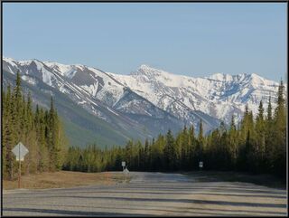 Northern Rockies near Muncho Lake