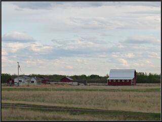 Barns