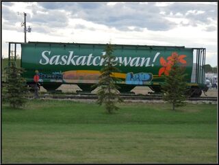 Brightly colored train cars