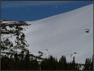 Fresh late May tracks