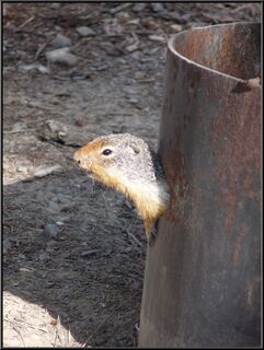 He just kept chattering at us