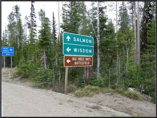 Salmon and wisdom, mutually exclusive