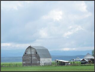 Cool barn