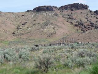 Cattle apparatus in the desert