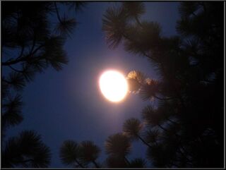 The moon over Nevada Beach