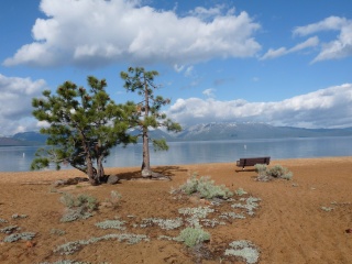 Benches with views