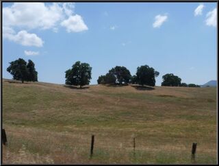Calaveras countryside