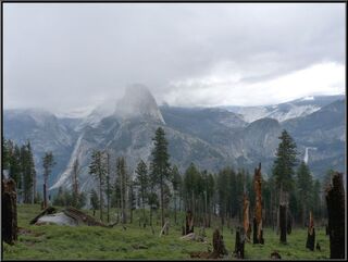 Evidence of the 1996 fire, and Half Dome
