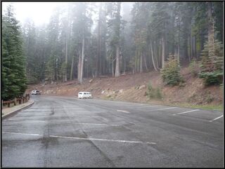 Lonely bus, we barely found a parking space when we got there
