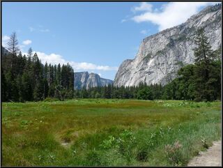 Just another beautiful meadow view, they have a ton of them around here