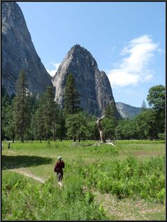 A short stop in another meadow...