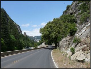 The awesome park road toward Crane Flats
