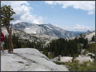 The amazing view from Olmstead Point and, yep, one last shot of Half Dome