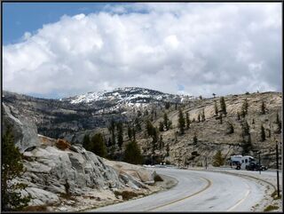 Looking east towards Tioga Pass and Toulome Meadows