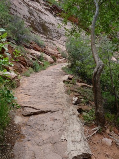 The trail to the Hidden Canyon cutoff