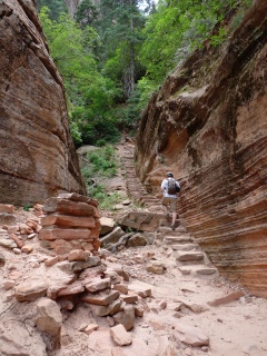 Good old fashioned CCC steps