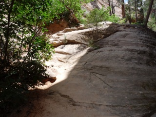 When you've got sandstone, your signage options increase