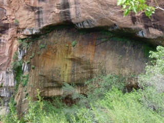 Weeping Wall hanging gardens