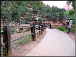 The Angels Landing or Scout Lookout trailhead, we haven't decided which yet