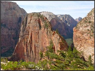 Looking across at the trail up Angels Landing, yep up that fin