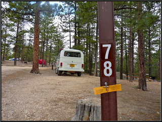 Camp site 78, in the North Campground. Very nice