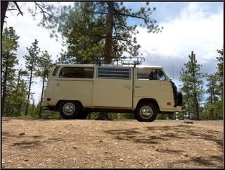 The bus, happy to be back