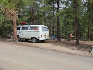 Morning in campsite 78